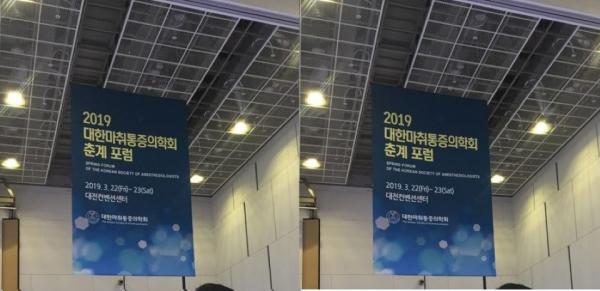 2019 대한마취통증의학회 춘계포럼